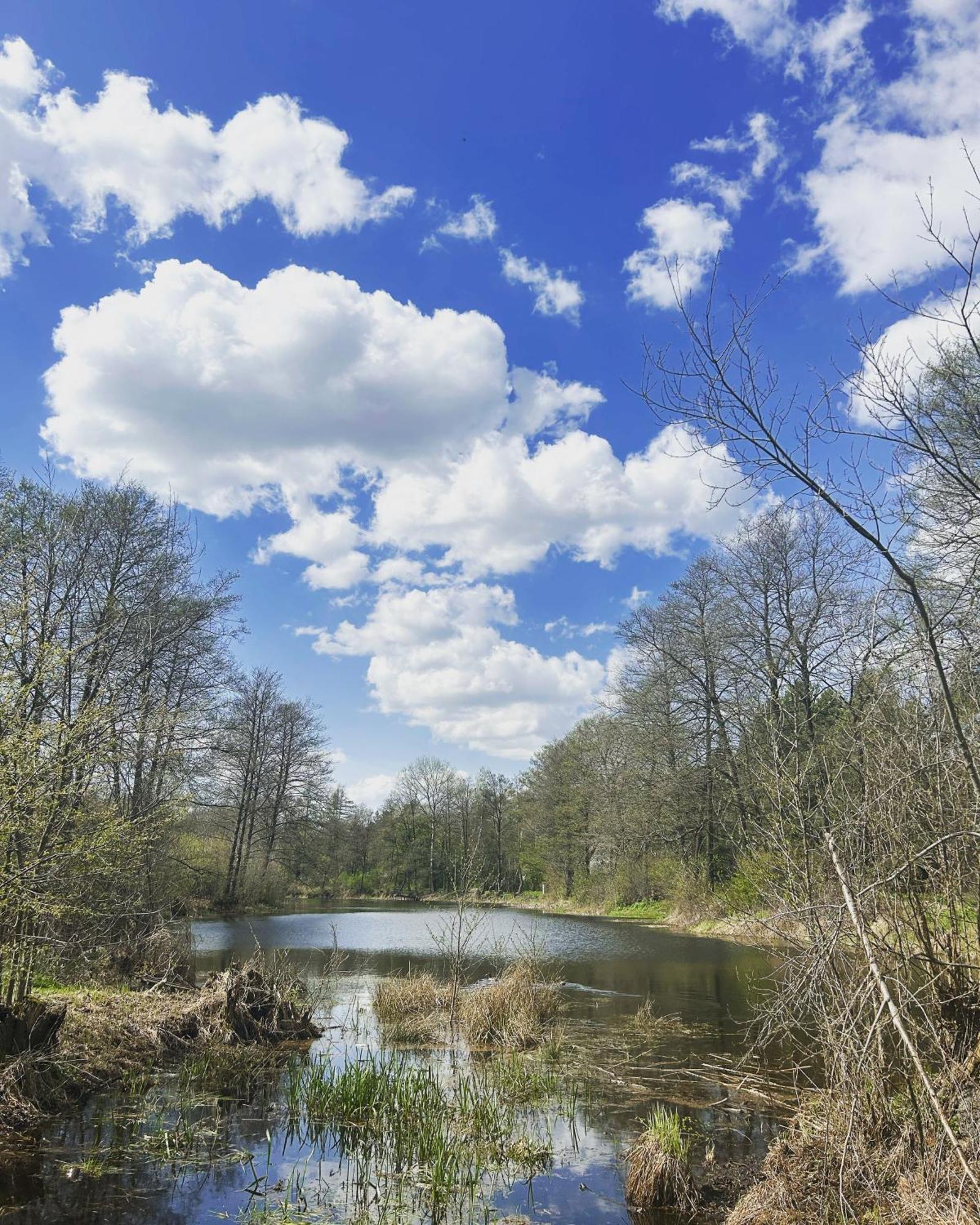 Masuria Warsaw Vila Skrzeszew Exterior foto
